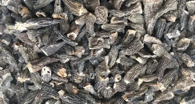 羊肚菌栽培技术，羊肚菌的种植方法和栽培技术是什么（亩产最高1000斤）