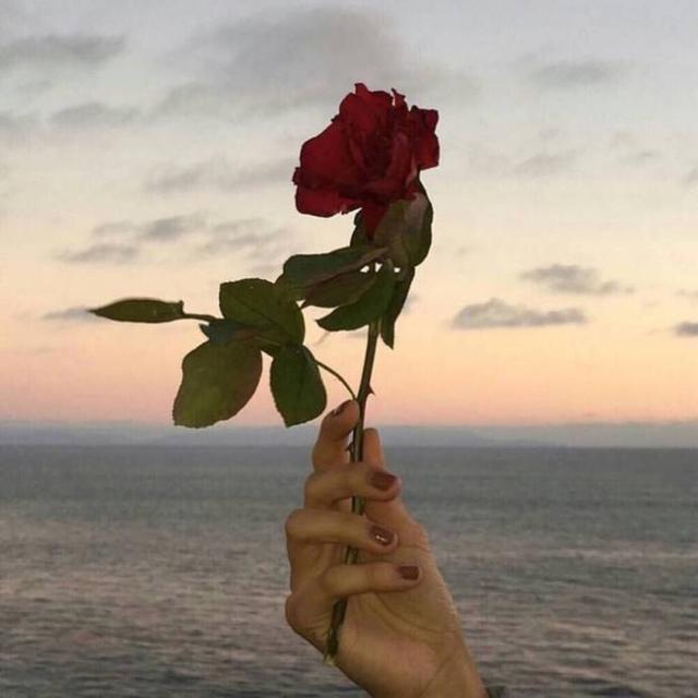 ins风背景图高级感,背景图 ins风(朋友圈背景.ins.高级感.神仙.花.