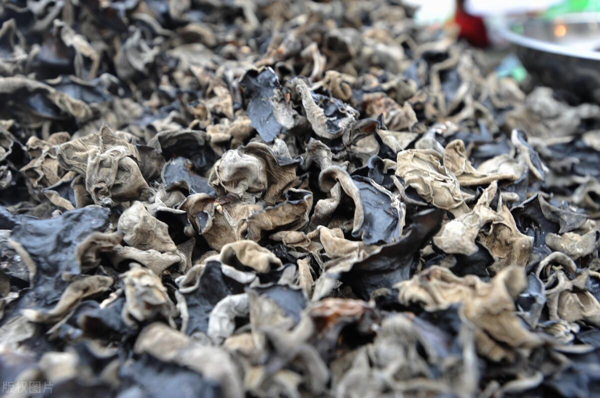 黑木耳多少钱一斤，批发黑木耳多少钱一斤（2021年10月7日黑木耳价格行情）