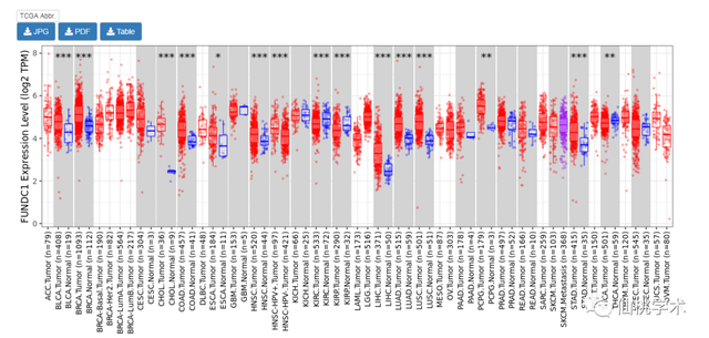 excel左右拉条不见了，excel的左右滚动条不见了（单基因泛癌免疫分析）