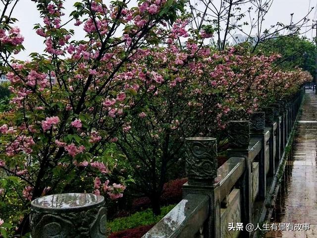 景德镇旅游一定要去游览的景区，景德镇市旅游必去景点（景德镇有景有故事）