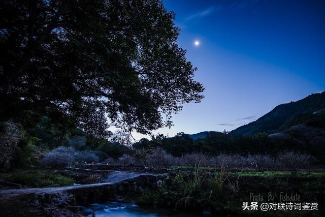 月亮诗歌，太阳和月亮诗歌（诗歌：月亮）