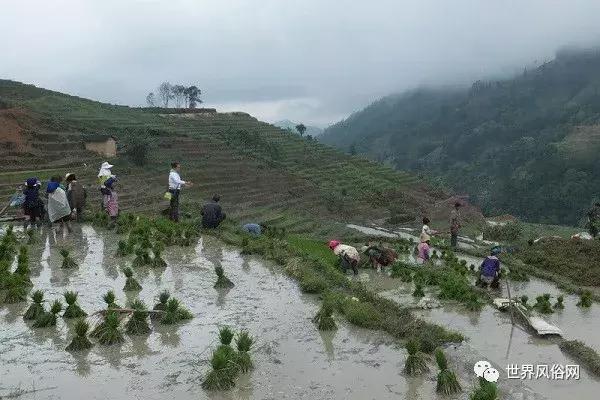 傣族的风土人情,傣族的风土人情20字介绍(傣族传统节日大全) 傣族的风土人情,傣族的风土人情20字介绍(傣族传统节日大全)