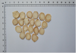花旗参的功效，花旗参的功效与作用适合哪些人（西洋参有什么功效）