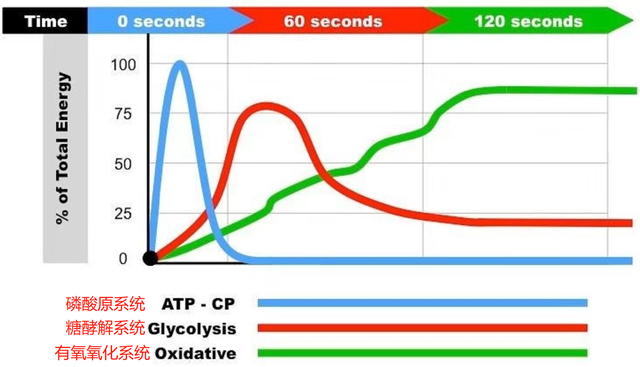 在家练习弹跳方法，如何在家训练弹跳（抗疫情宅在家，适量运动不可少）