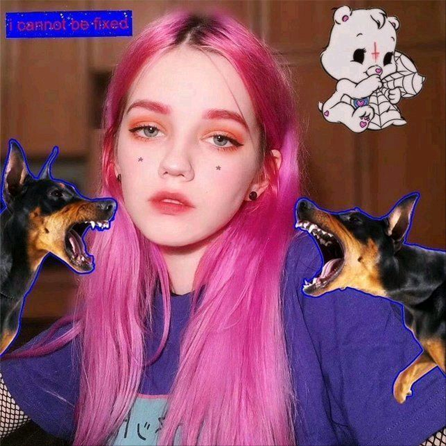 高质量小众情头ins，ins风小众高级风情头微信（欧美头像.ins.小众.超拽.神仙）