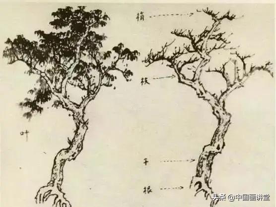 大树怎么画，大树怎么画的特别好看（缠枝、挺杆、屈节、钮裂、一棵树如何画）