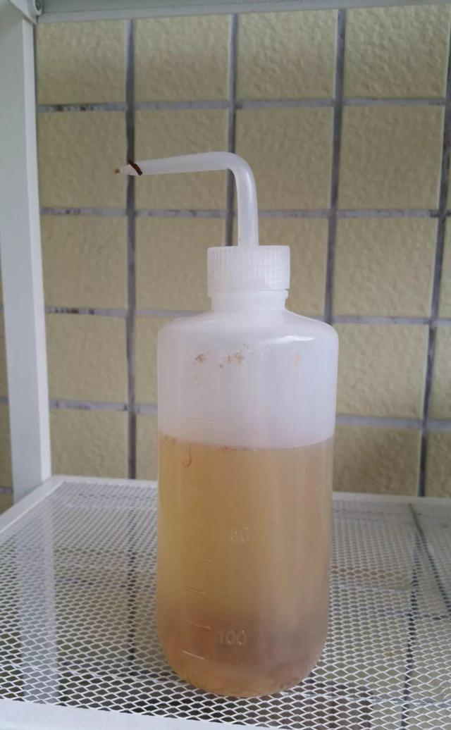 怎么驱蚊子最有效，除蚊子的方法（1把蚊香灰撒盆里）