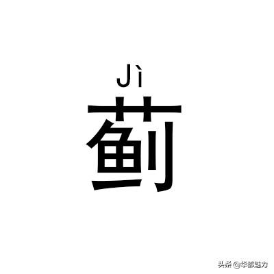 ?怎么读什么意思，仵怎么读姓氏（看完后可不能再读错了）