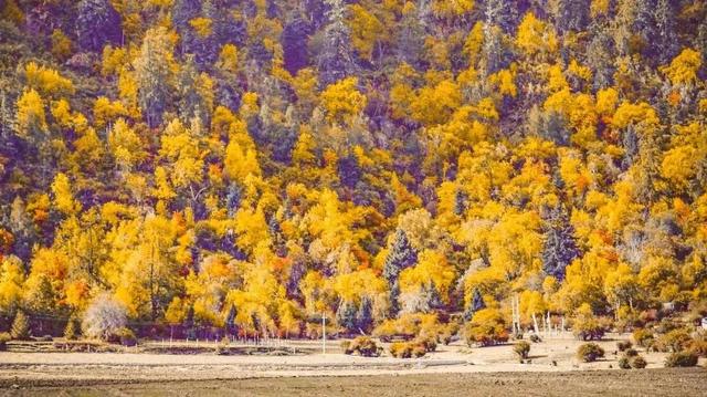 九月份适合去哪里旅游 最全攻略在这里，九月份适合去哪里旅游（看到第一个就想出发了）