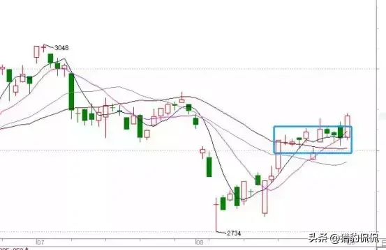 长江存储股票代码600206，长江储存股票代码是多少（砸锅卖铁全仓上车）