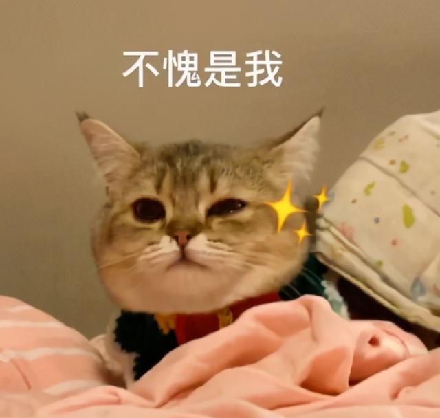 zfc粉底膏孕妇能用吗，zfc粉底液孕妇可以用吗（你交过学化妆买工具的智商税吗）