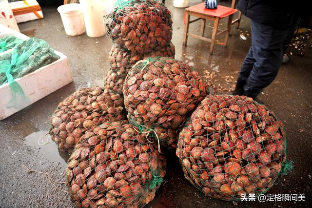 红扇贝为什么便宜，鸳鸯贝和扇贝哪个贵（老板扒壳卖肉馅价格倍增）