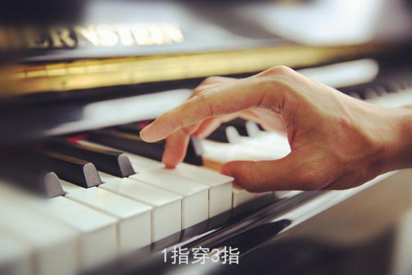 琴键是什么意思，琴键读音是什么意思（钢琴演奏中五种必备指法）