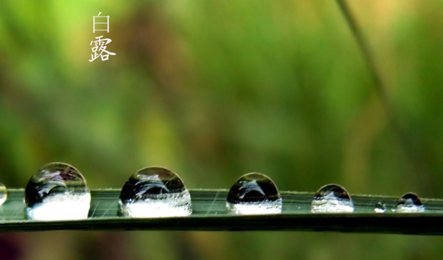 百岁无忧.，微信头像，百岁无忧.（十五首白露诗词）