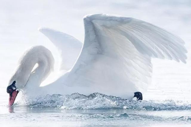 酒店的床垫为什么那么舒服，酒店的床垫为什么睡得舒服（为什么睡五星级酒店比在家睡舒服）