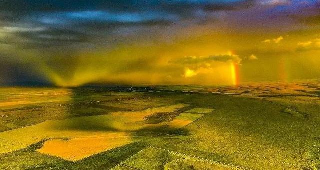 油菜花开的唯美句子有哪些，油菜花开的唯美句子有哪些三年级（金色耀眼，如绚烂花毡）