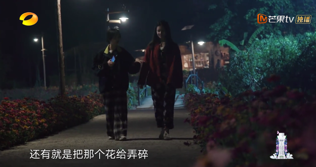 向往的生活开局推到张子枫，张子枫是谁推荐到向往的生活（《向往的生活4》张子枫被疑社恐）