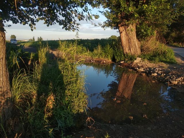退一步海阔天空的前一句是什么，退一步海阔天空（退出江湖的经典句子）