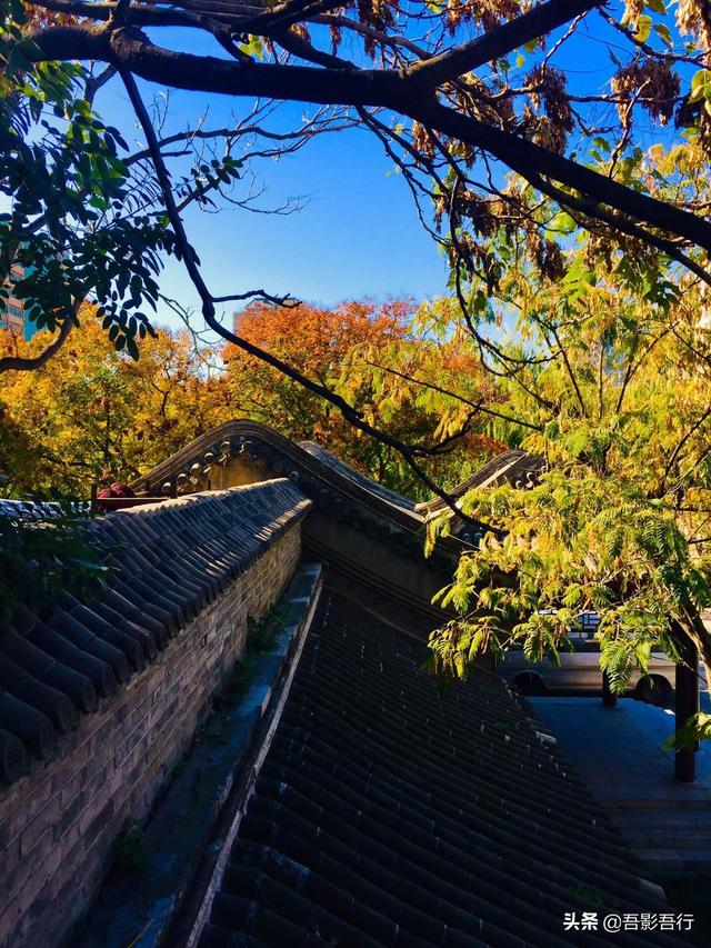 元大都遗址位于现在哪里，元大都遗址位于现在的哪个城市（遗迹众多、秋色醉人、晨跑、遛弯的生态园林）