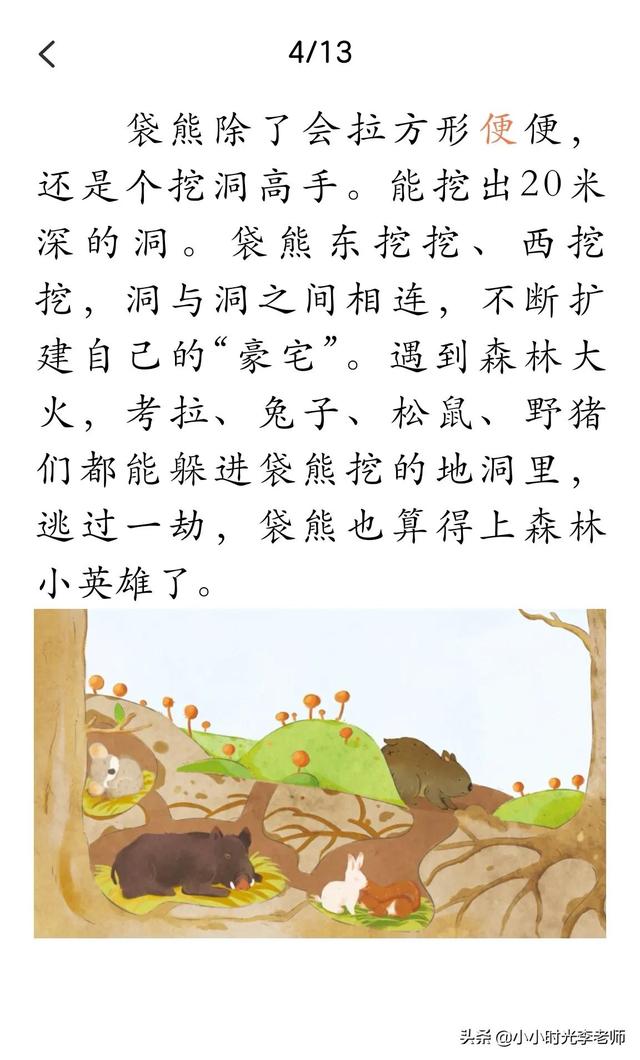 各种各样的动物，所有的常见动物名称（自然的故事-动物在说话《各式各样的便便》）