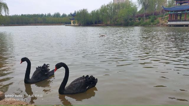 磁县旅游景点大全，磁县网红景点（磁县周边景点）
