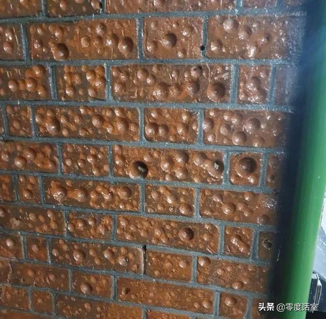 暖手宝里面是什么，暖手宝是什么成分（“网友什么都知道系列”）