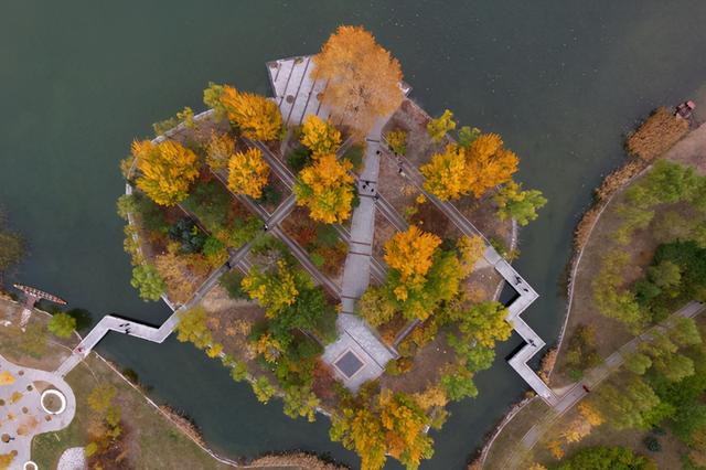 张雪峰评价东北石油大学，张雪峰十大热门专业是哪些（东北这所大学退步“严重”）