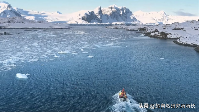 海底最深处的生物，10000米恐怖深海鱼（南极深处真的存在巨大的生物吗）