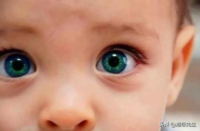 全球最美十大瞳孔颜色，全球最稀有的眼睛颜色有哪些（这10双最美瞳孔让全世界都沉迷其中）