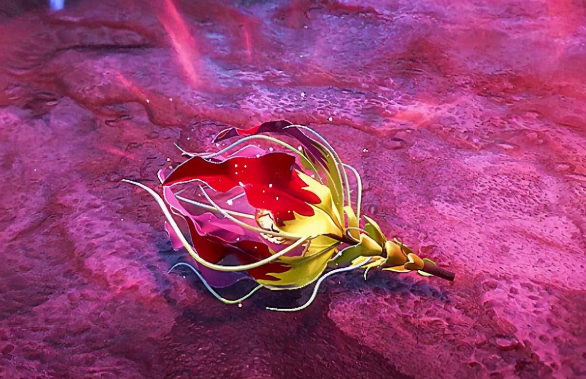 仙品仙草是斗罗大陆中的天材地宝,但很可惜的是没有几个人认识.