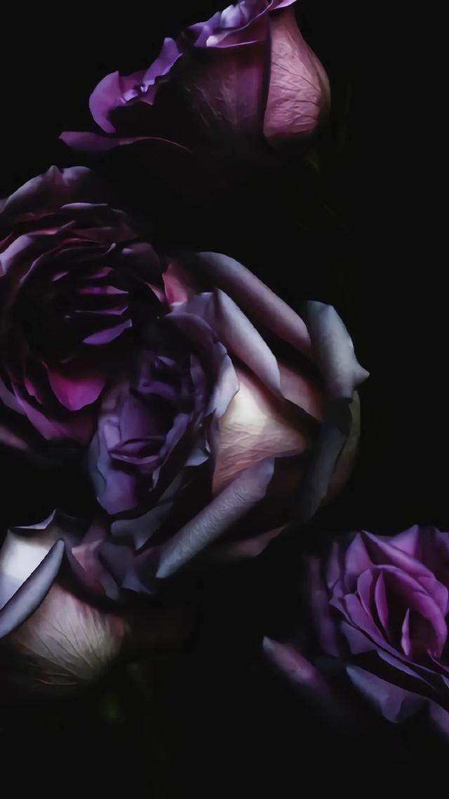 唯美植物花类头像微信，唯美植物花类头像（小清新绿色护眼植物+唯美绽放的瞬间​​​）