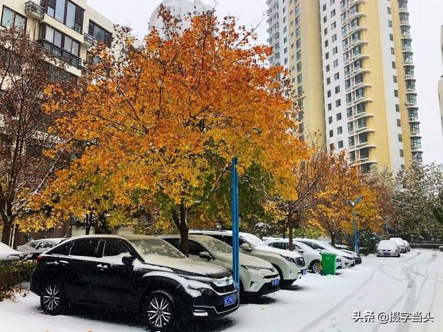 情侣唯美雪景图片，情侣唯美雪景图片真实（冬日初雪印象：一半冬雪）