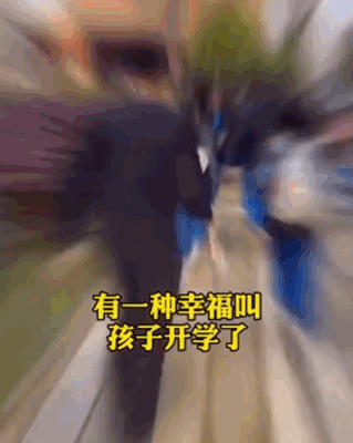 南外大冲学校（南山区外国语学校）