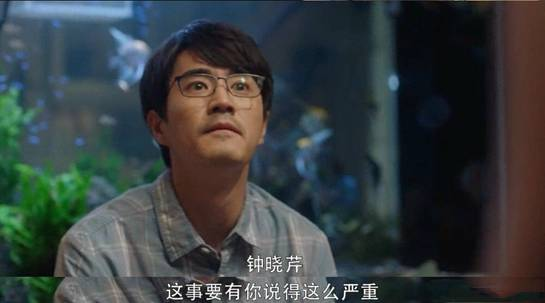 招财鱼：寓意吉祥富贵的热门观赏鱼，深受养鱼爱好者青睐，为家居增添财运与生机