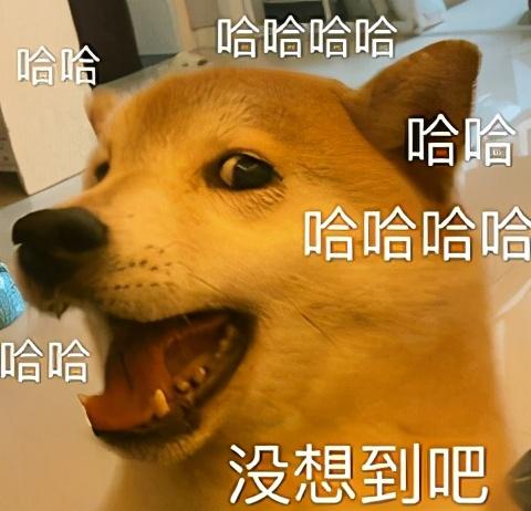 微信特效表情雨(微信除了炸屎和爱心还有什么)