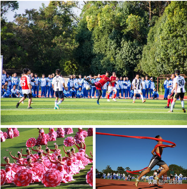 临沧一中2019高考成绩喜报、一本二本上线人数情况，临沧市一中2019高考喜报（700多人被985、211高校录取）