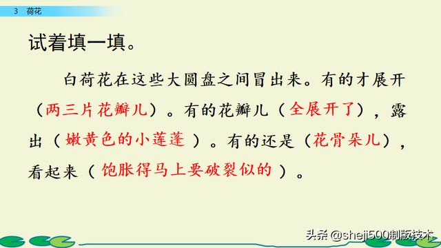 莲蓬的蓬是不是读轻声，莲蓬的蓬为什么读轻声（部编版语文三年级下册第3课《荷花》图文讲解）