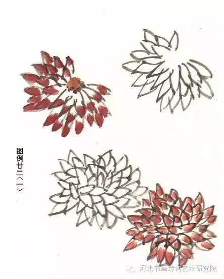 花的画法——菊花的画法，菊花是怎么画（菊花画法大全）
