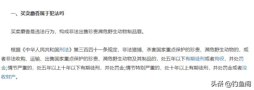 冬季钓鱼必备！十大小药排行榜揭晓，麝香酒效果最佳助你爆护