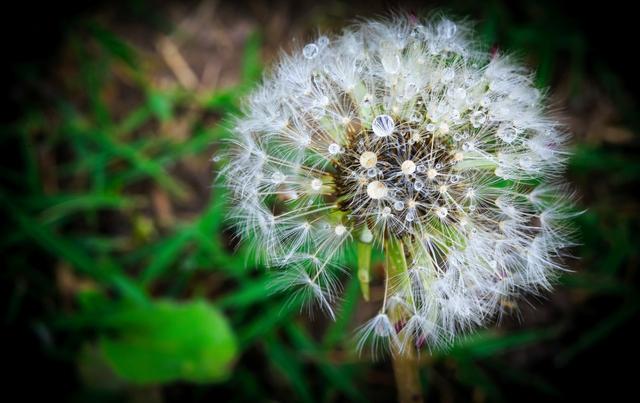 面相解析嘴角上扬的男人命运，嘴巴上扬的男人面相（心理学：男人爱不爱你）