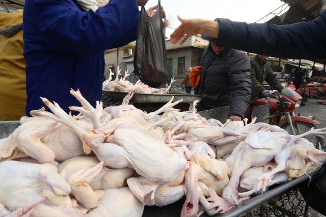 冻鸡怎么快速解冻，冷冻鸡翅怎么解冻（如何分辨“病死鸡”和“鲜活鸡”）