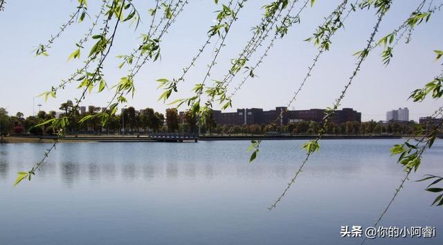 江西师范大学商学院，江西师范大学商学院副院长（江西师范大学的商学院在哪？住宿条件怎样？是本科的哦）
