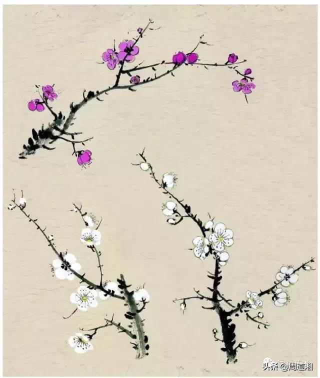 梅花13怎么手绘画，教梅花13怎么画（国画入门教程——梅花的画法）