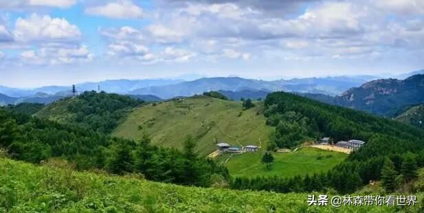 林森带你看世界——品尝长治潞安府的三宝之一腊驴肉，腊驴肉的做法大全