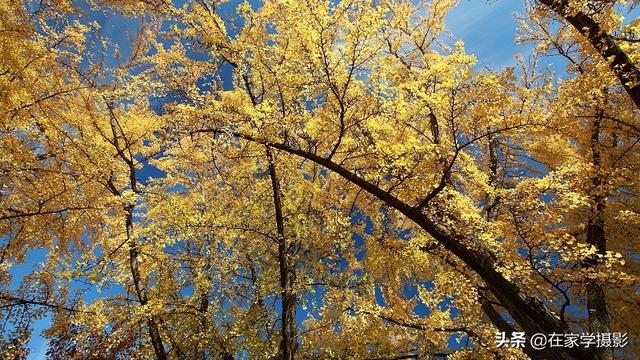 如何选择uv镜，怎么选择uv镜（CPL偏光镜、ND减光镜、UV镜如何选）