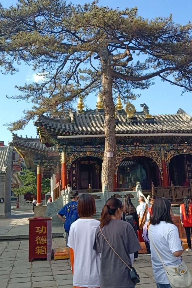 五爷庙的五爷是谁，五爷庙求什么最灵验（五爷又是怎样做到有求必应的呢）