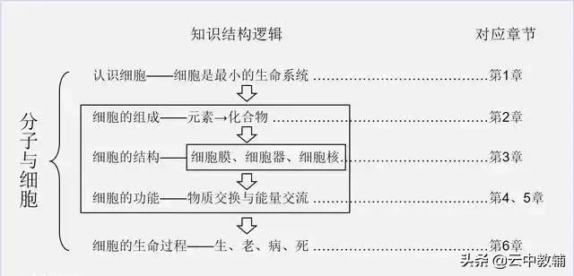 大肠杆菌菌落特征，大肠杆菌培养（一位高中生物老师分享对生物的理解）