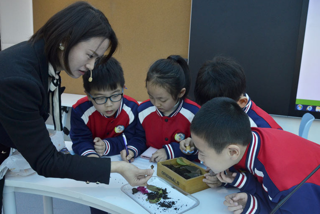 文科生可以报哪些专业，什么专业薪资待遇好（文科生最“吃香”的三类专业）