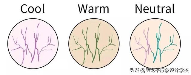 妆前乳是在化妆的哪个步骤使用，化妆需要哪些化妆品初学者（纯干货│适合化妆小白的超详细化妆步骤）